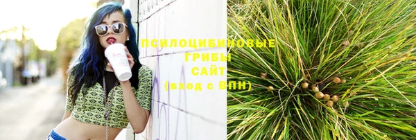 соль курить ск Абаза