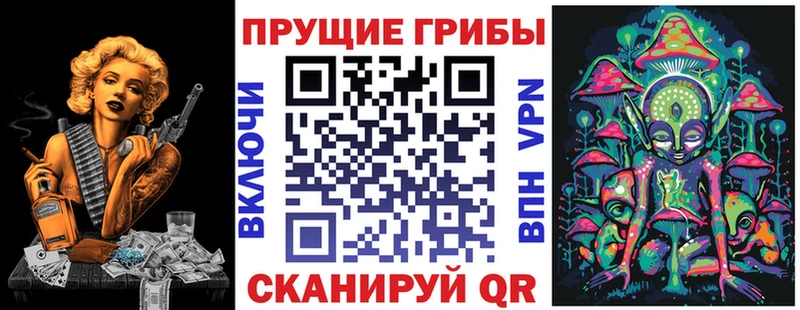 где найти наркотики Брюховецкая Псилоцибиновые грибы мицелий